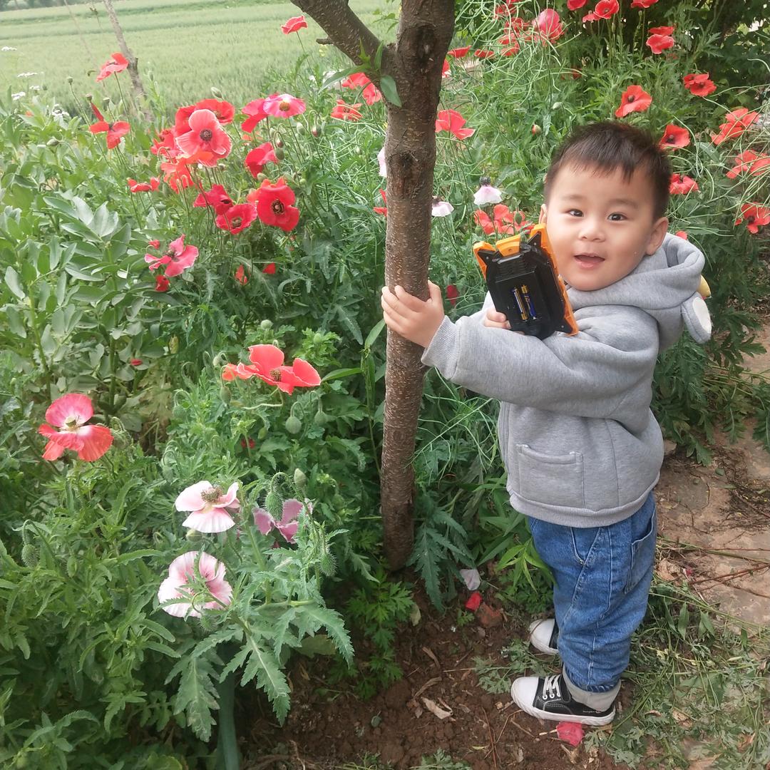 幸福一家人6671291504921