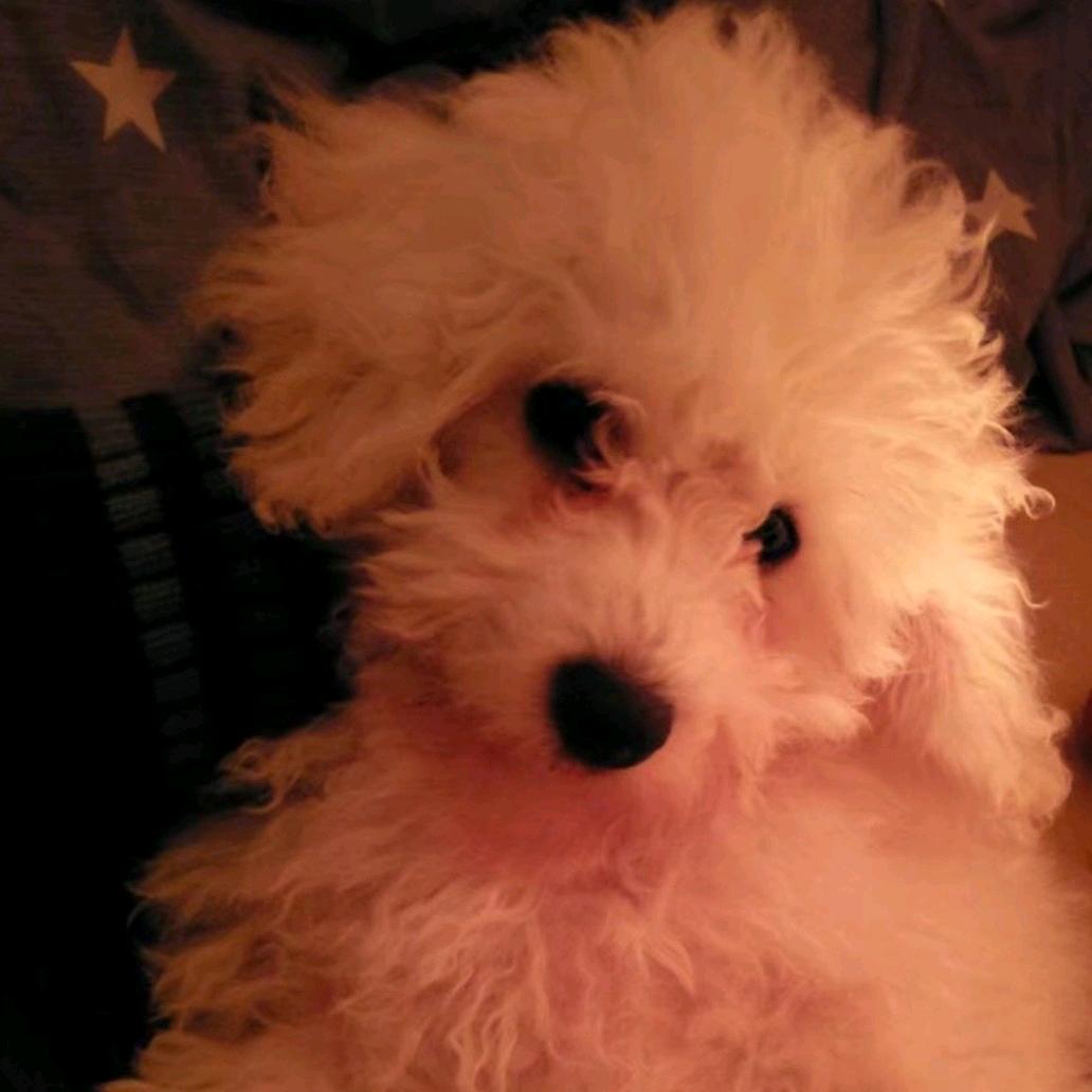 ༗ིༀRain雨༂ྀ༻࿐