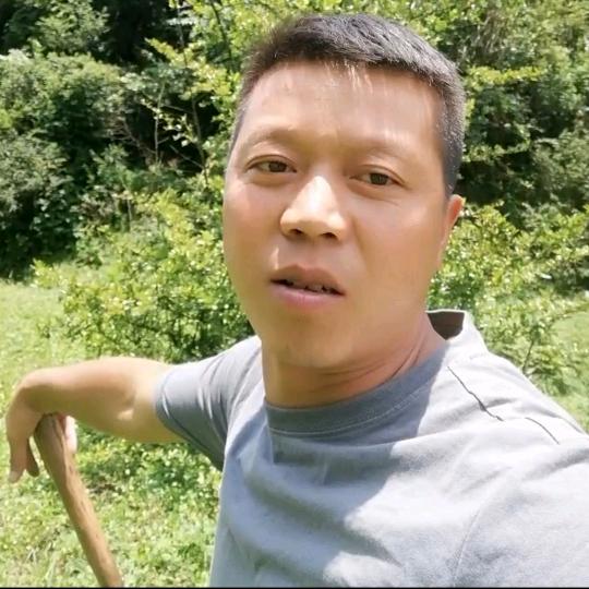 英超再生资源回收站