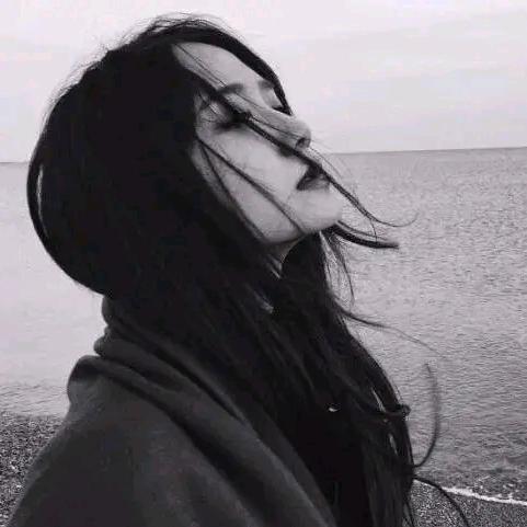 Z.梦蝶
