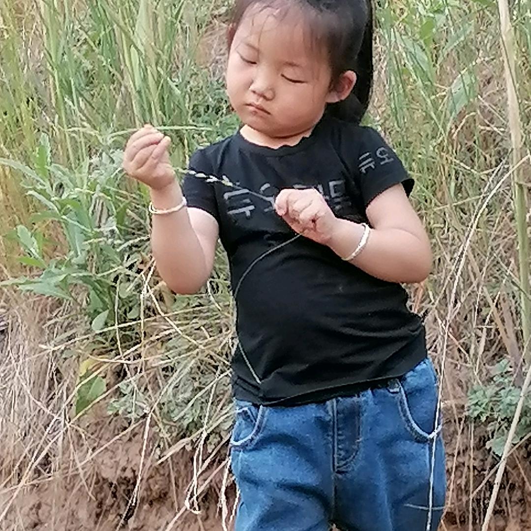 贵在真实