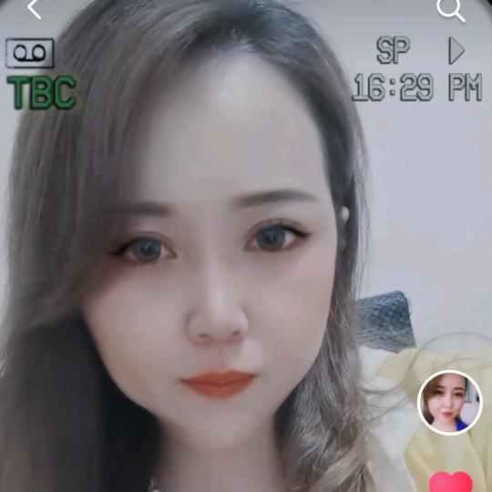 雁南飞