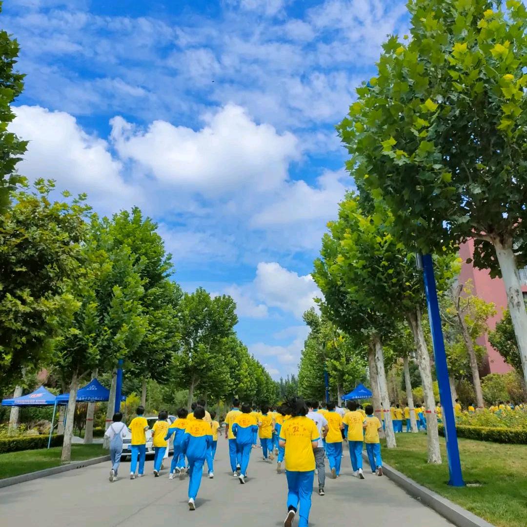 清河志臻高老师