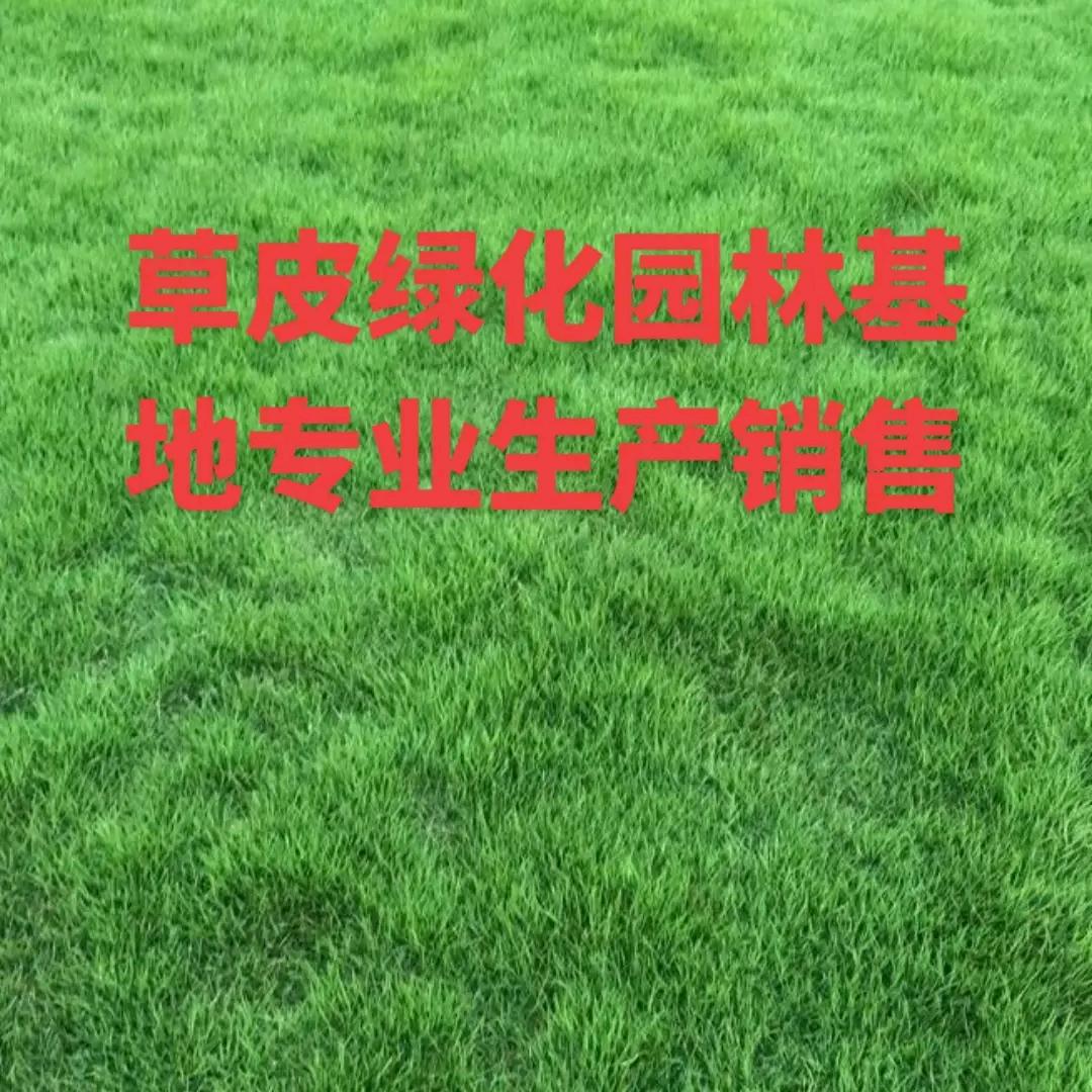 用户👉🌳鑫辉草皮园林绿化基地🌲👈