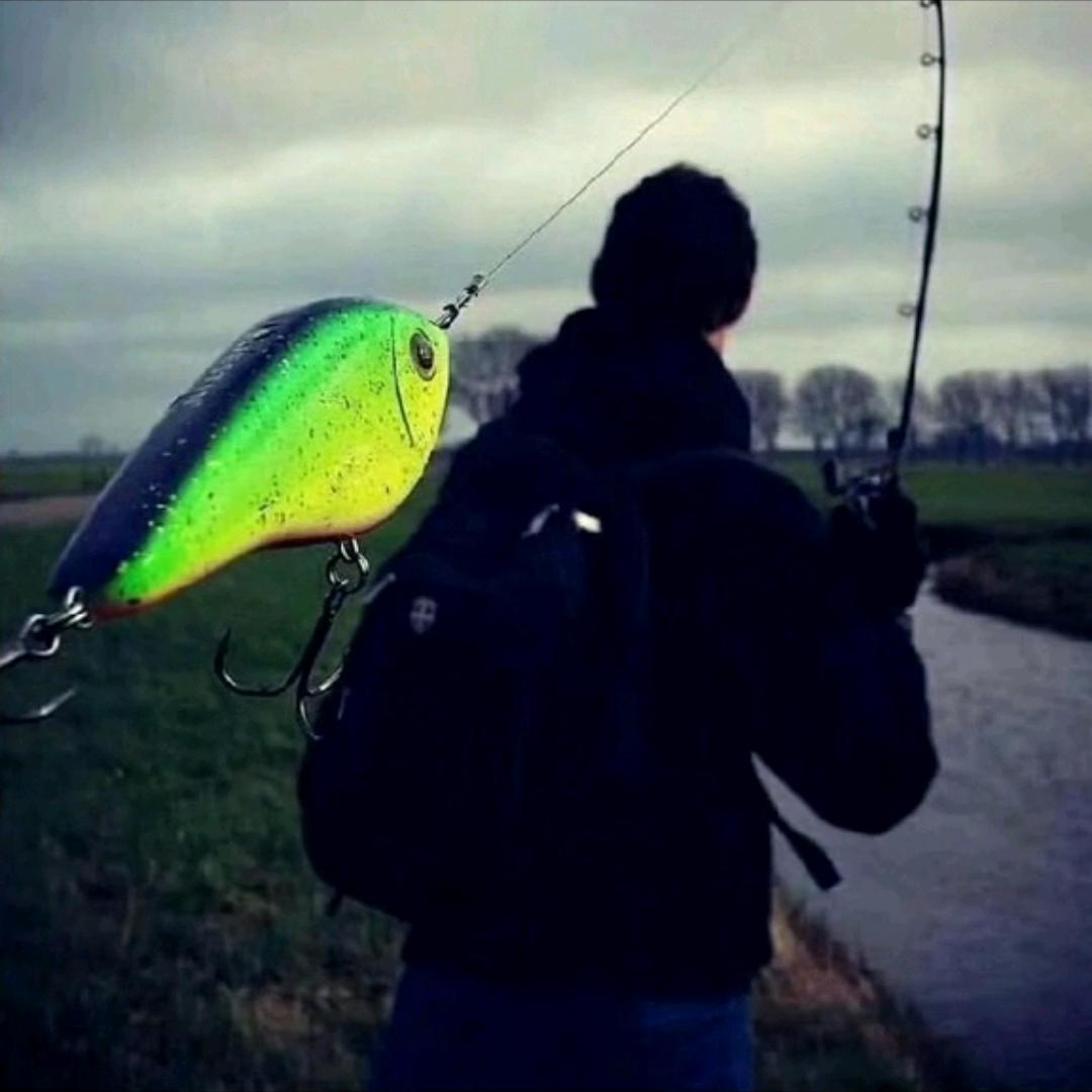 滨仔🎣