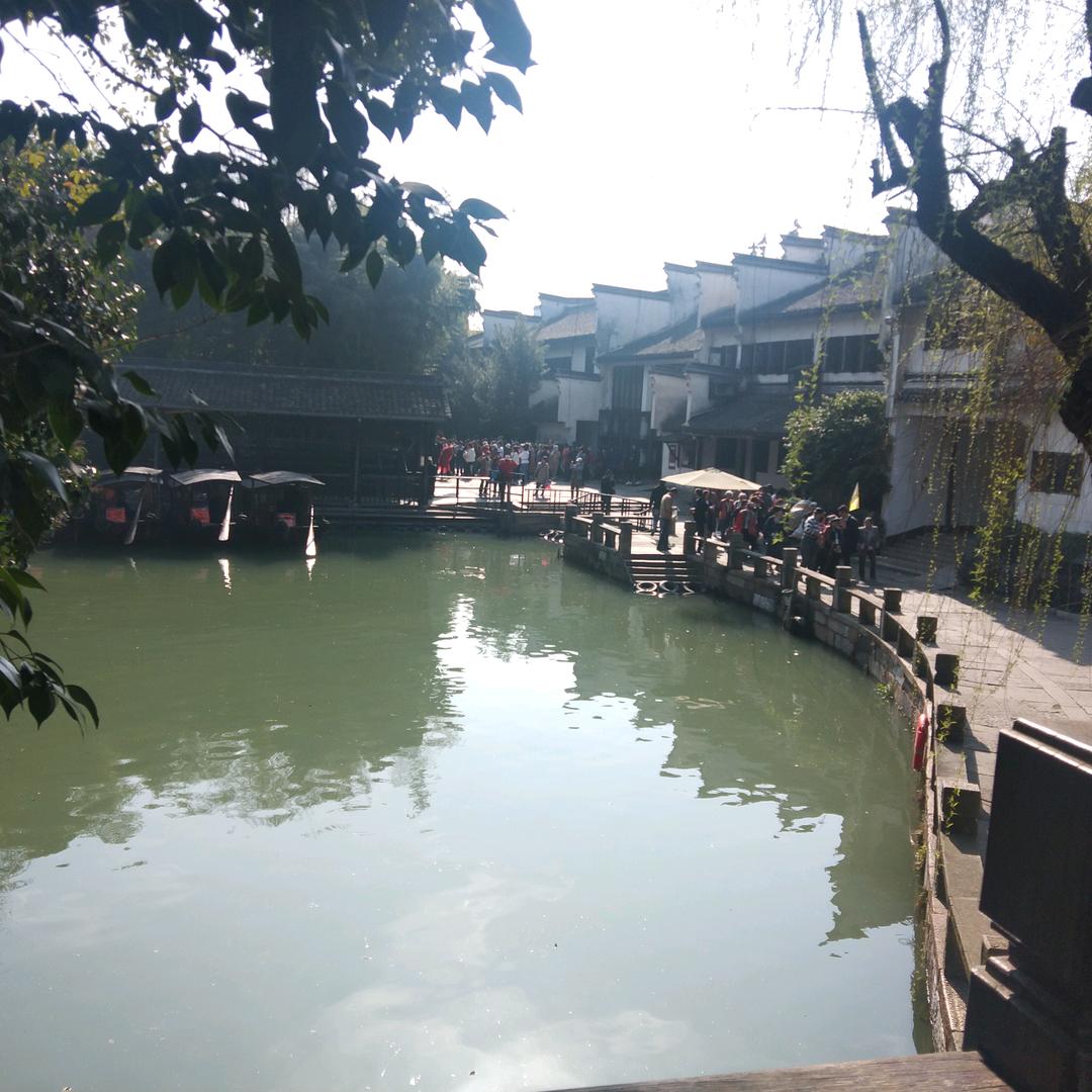 今天真好