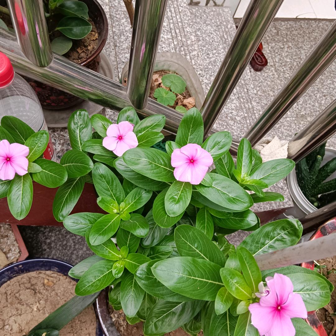 一笑而过