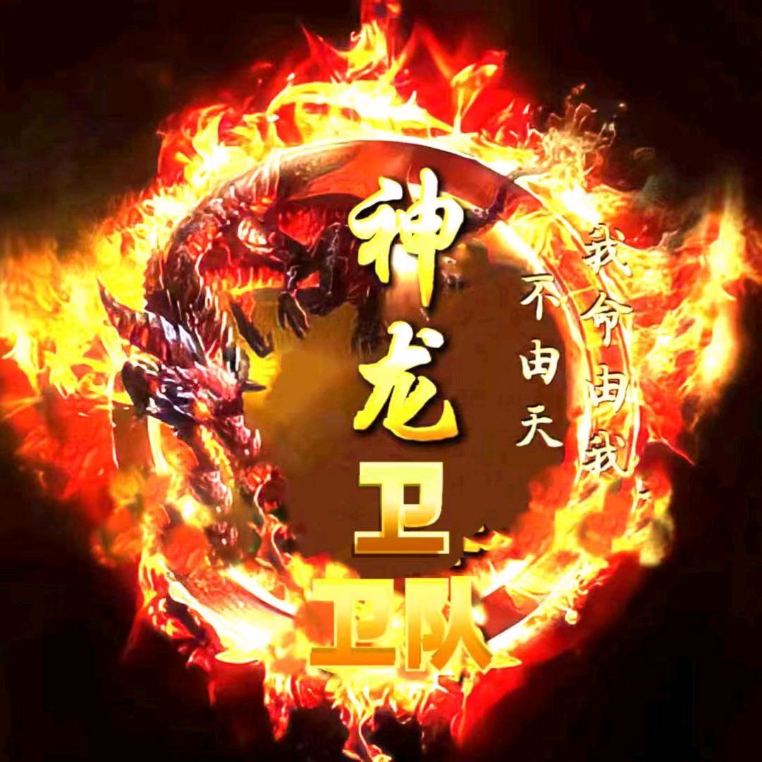 ✧神龙卫✧