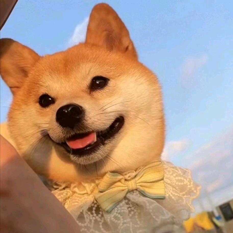 ゛李✨