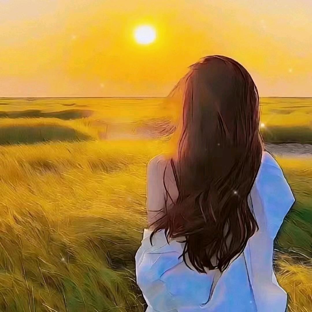 梦梦