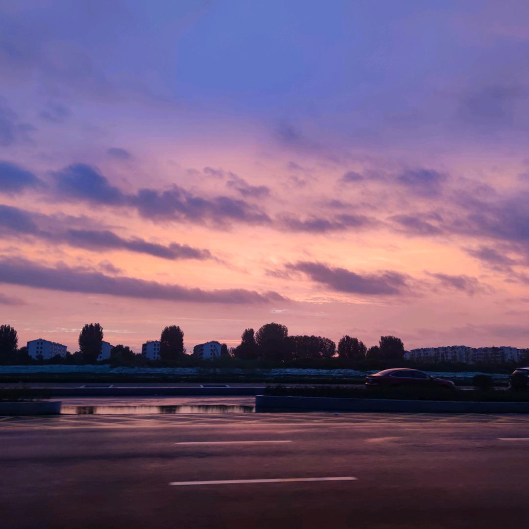玉面小飞龙