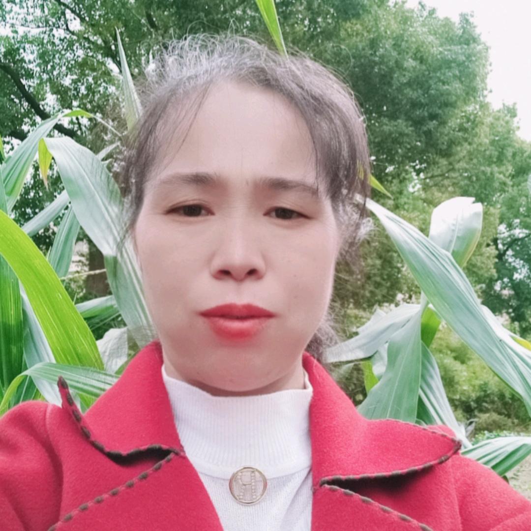 芬姐