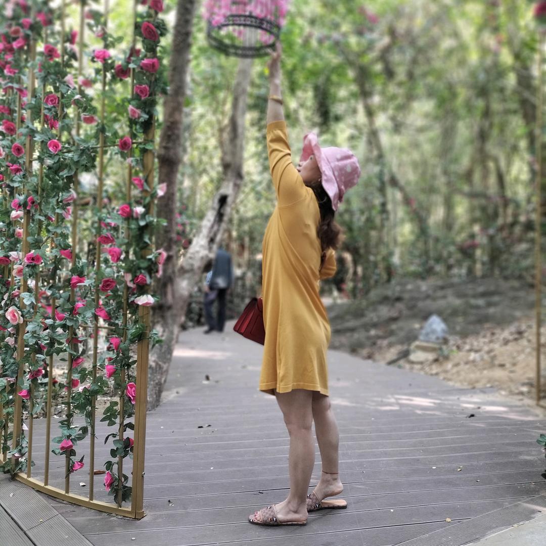 风生水起🌹
