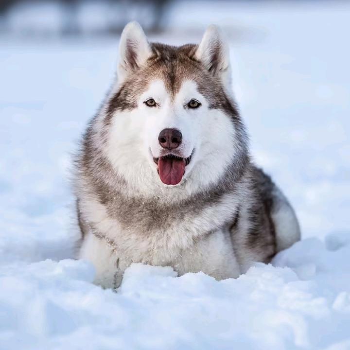 爱你一生@陪你终老