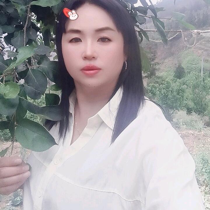 仕丽628