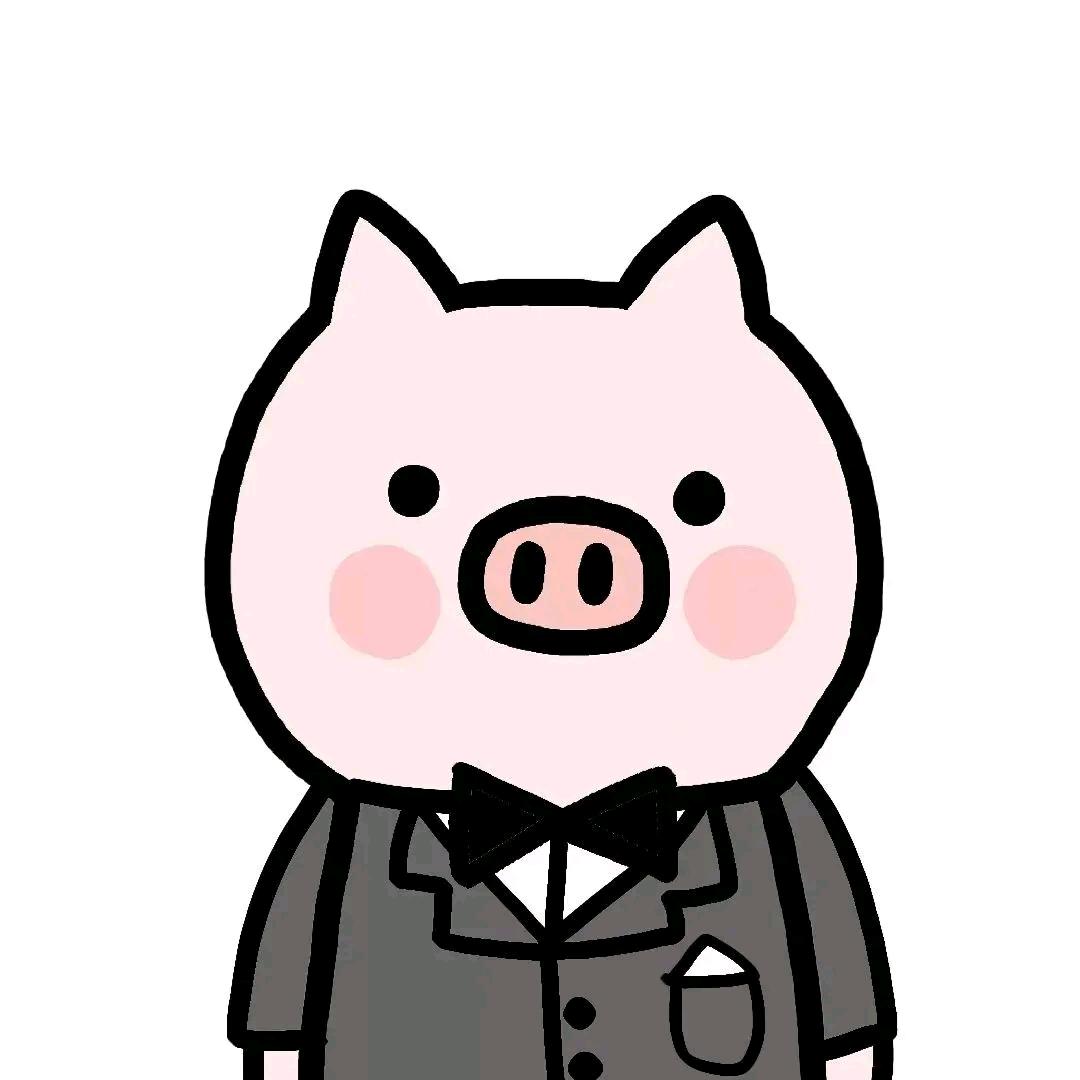 小白猪猪侠