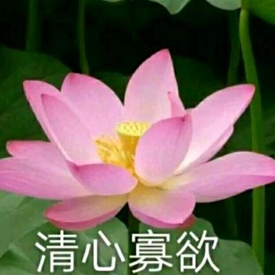徐姐