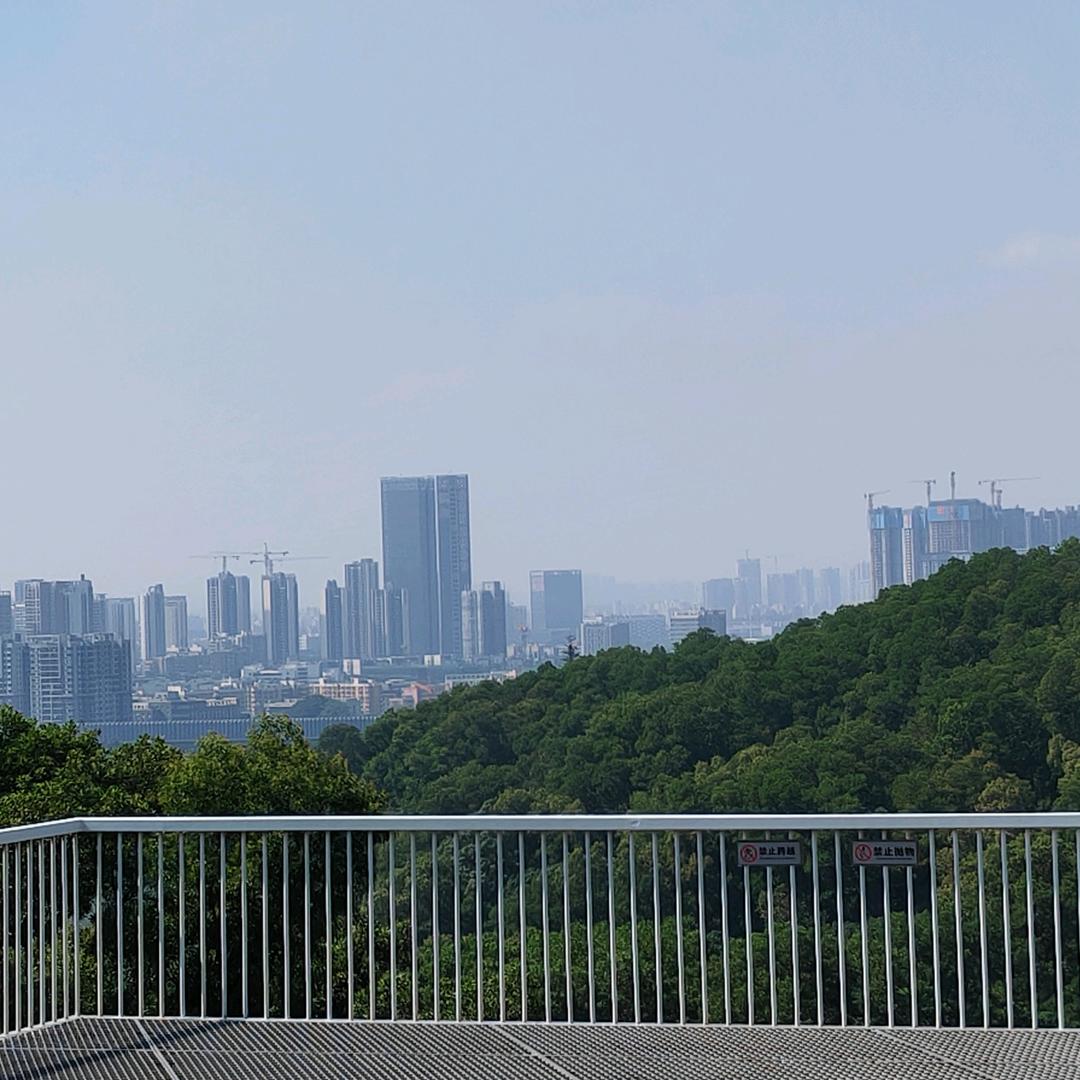 大苹果🍎