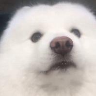 小高爱吃雪糕