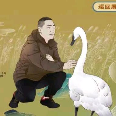 天鹅小雪驯养师