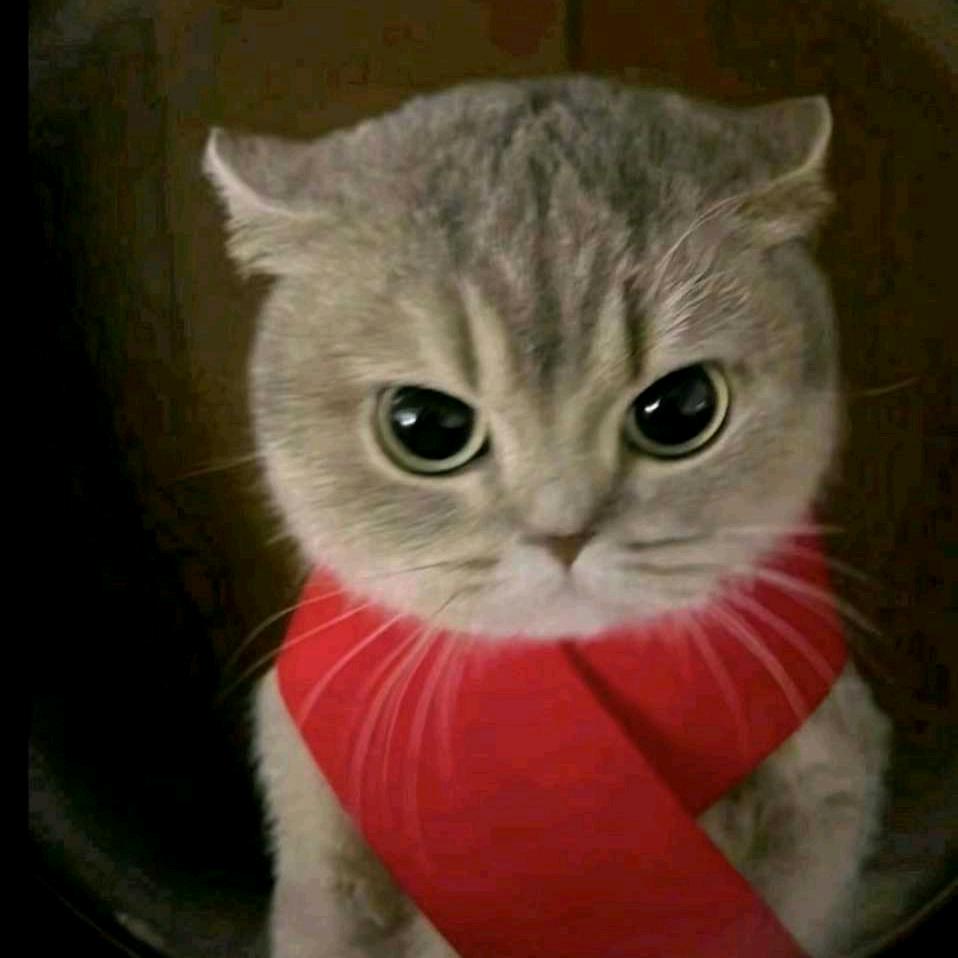 吉普赛人的宿命