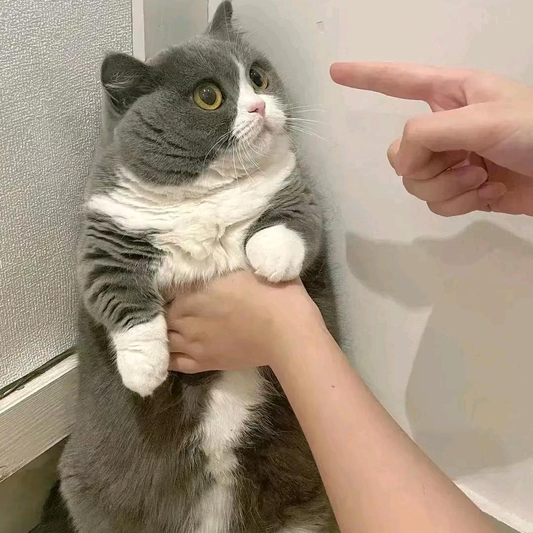 小甜宁宁宁