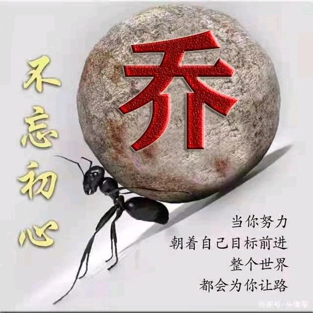 <过河不拆>☞乔