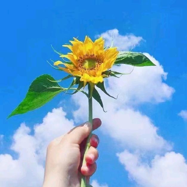 郑州鸣润纸制品精品店