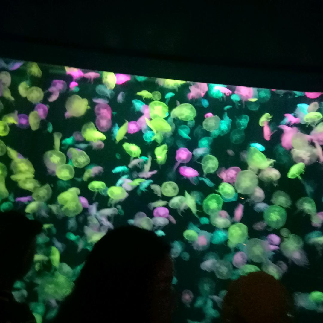 简単