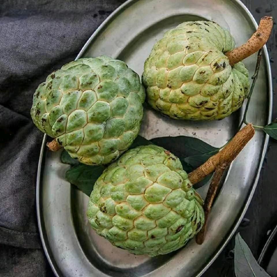 顾利