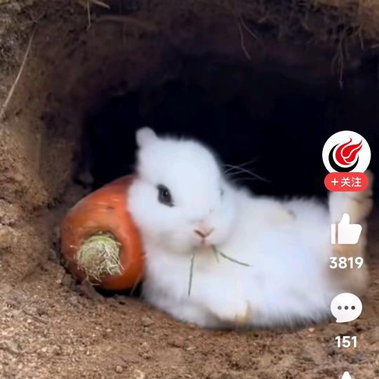 铃儿响叮铛