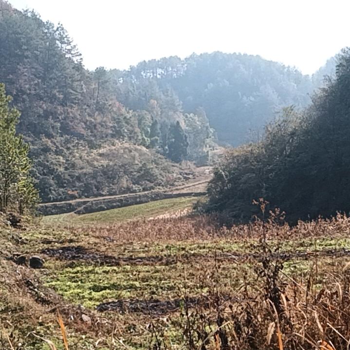 幸福给你