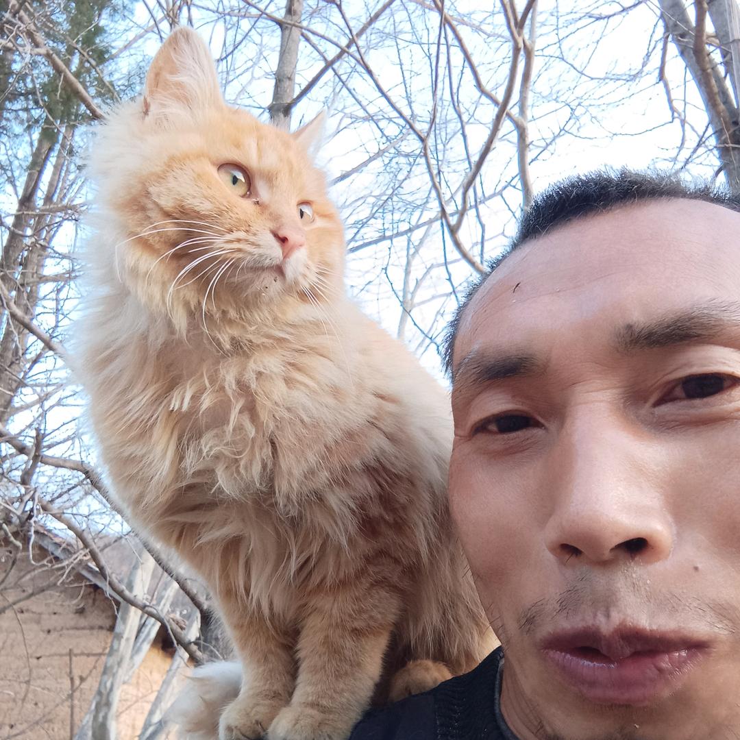 励志老男孩农资（视频同款在橱窗）