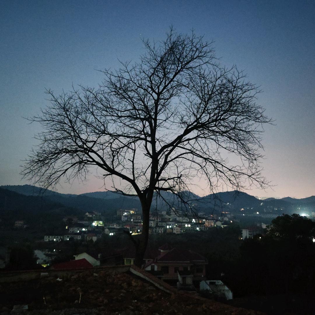 随心来