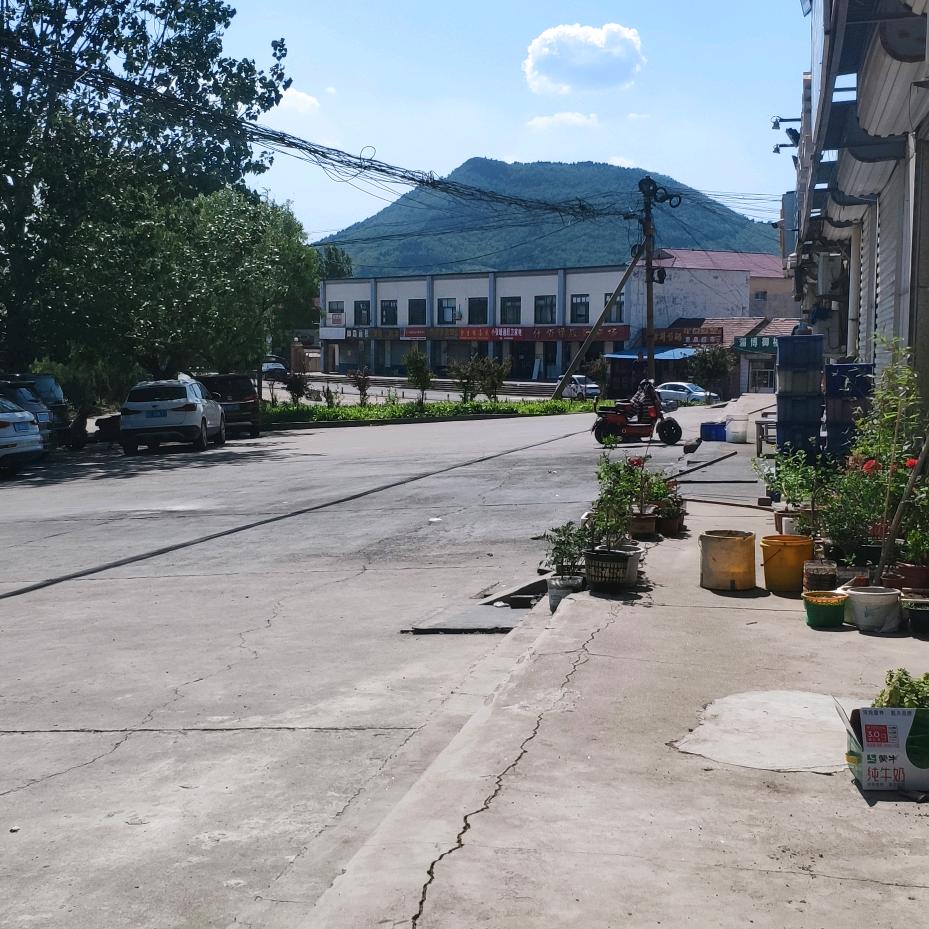 顺势而为（淄博的）