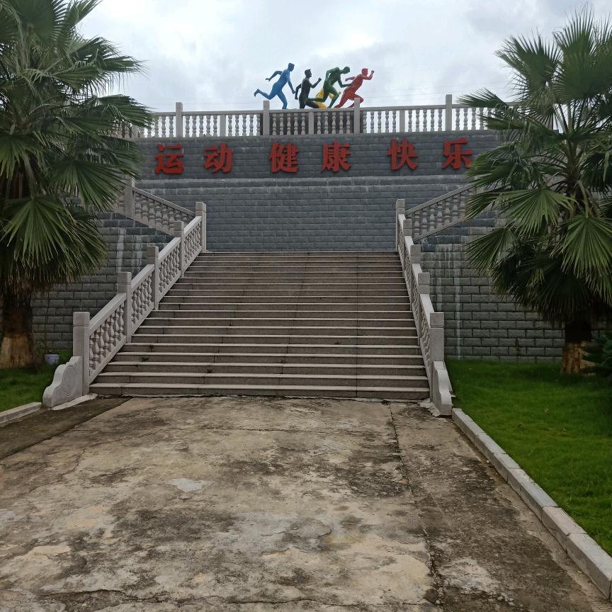 闽欧叶说车