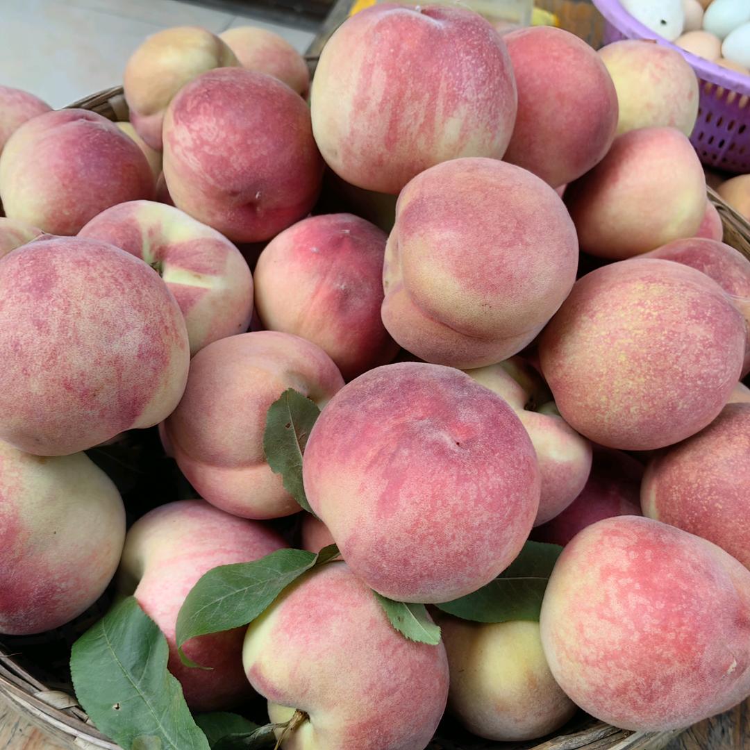 印刷，广告，刻章，照相，代售四季鲜果，