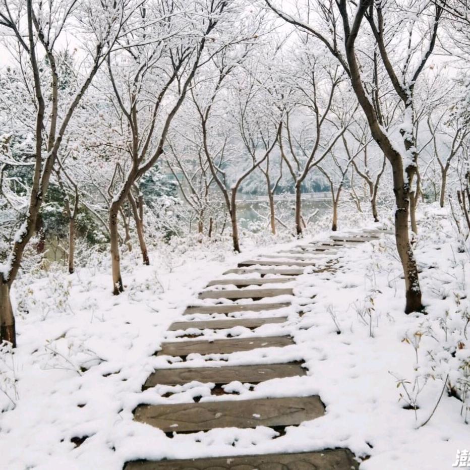 天雪推书