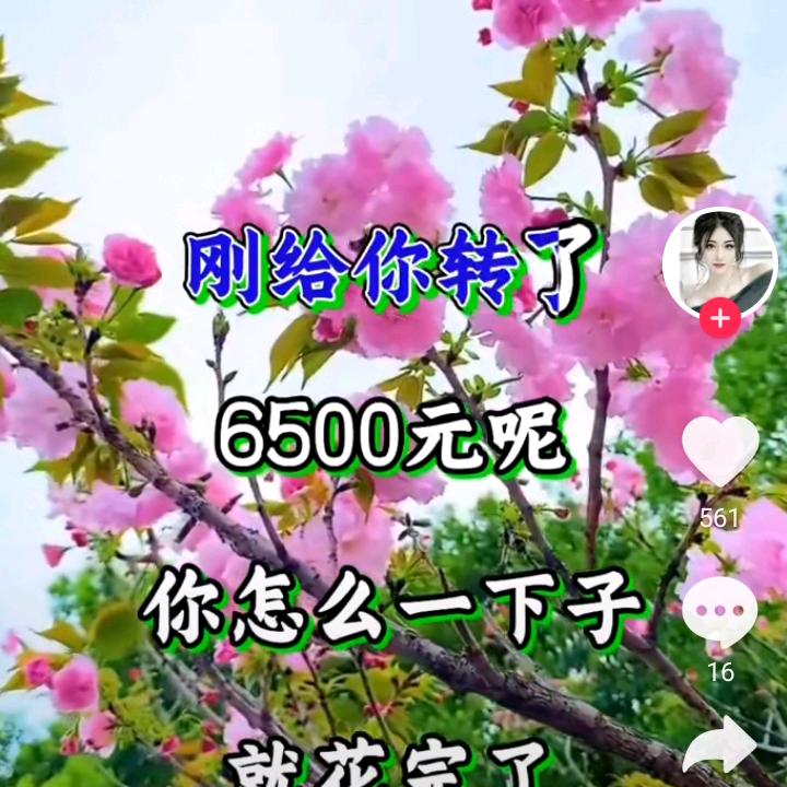 用户152097738935