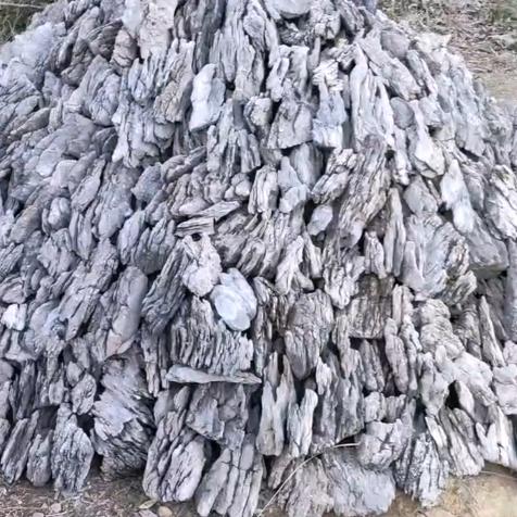 南北奇石附树石鱼缸造景青龙石