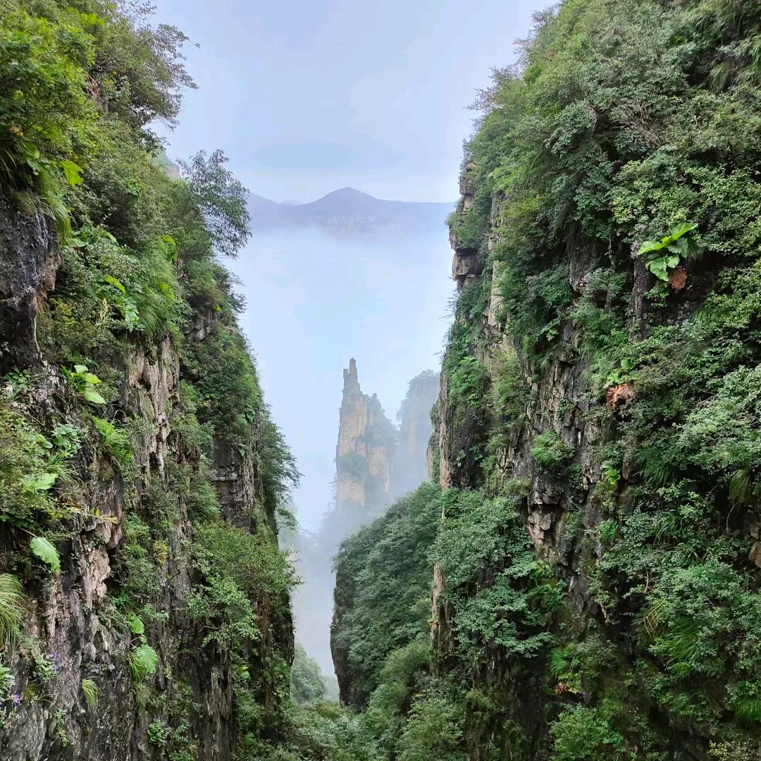 林州家电批发零售，董大州