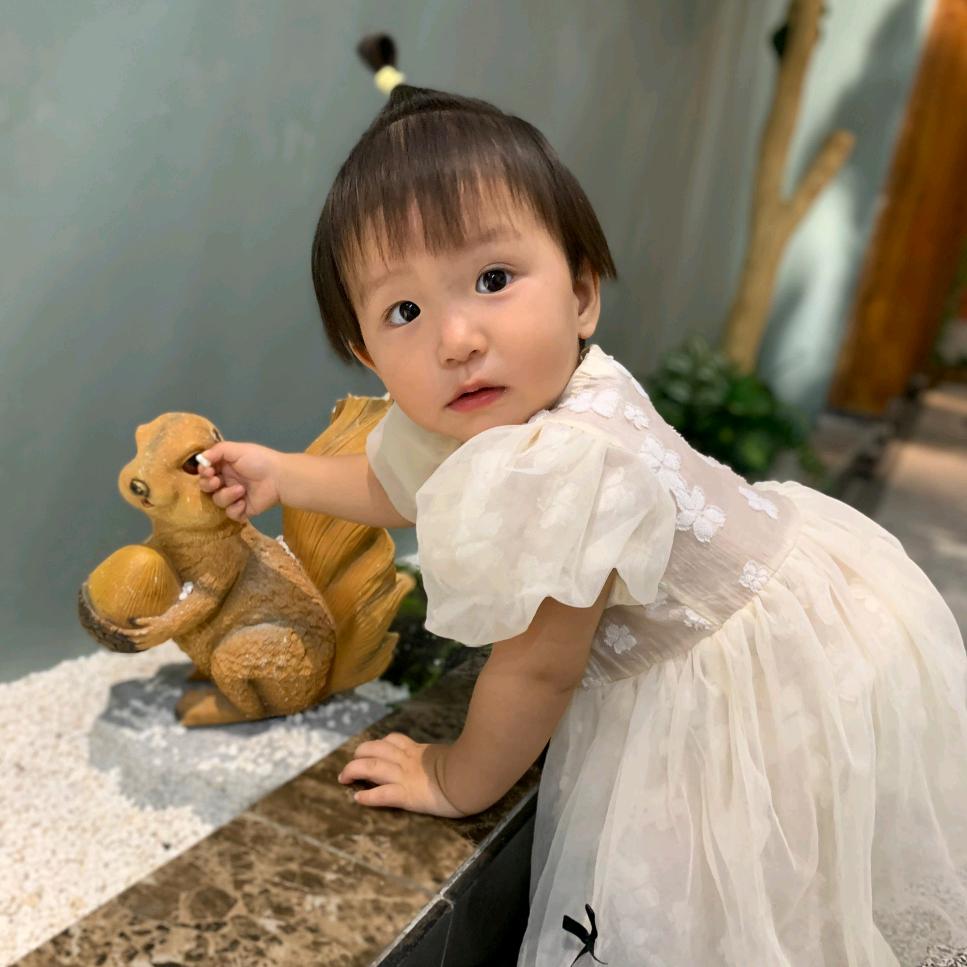 波菜