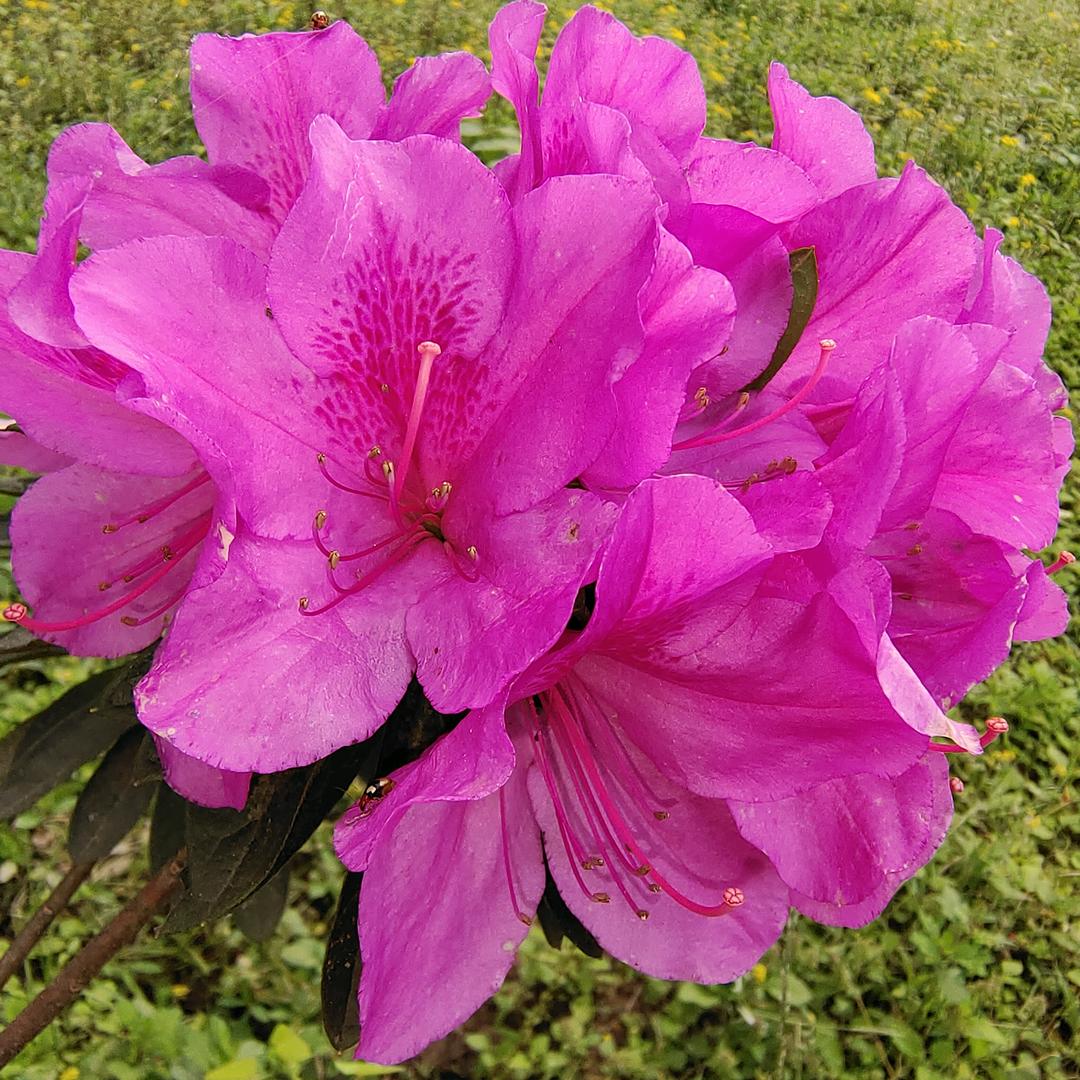 开心快乐就是我……