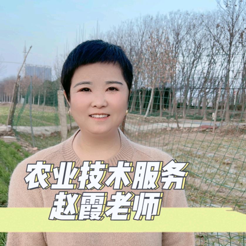 霞姐说农业
