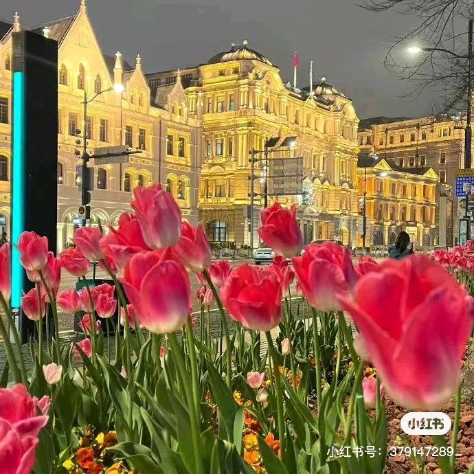 🌜小皇星际宫 🎊✨️☁️🇨🇳⭐️