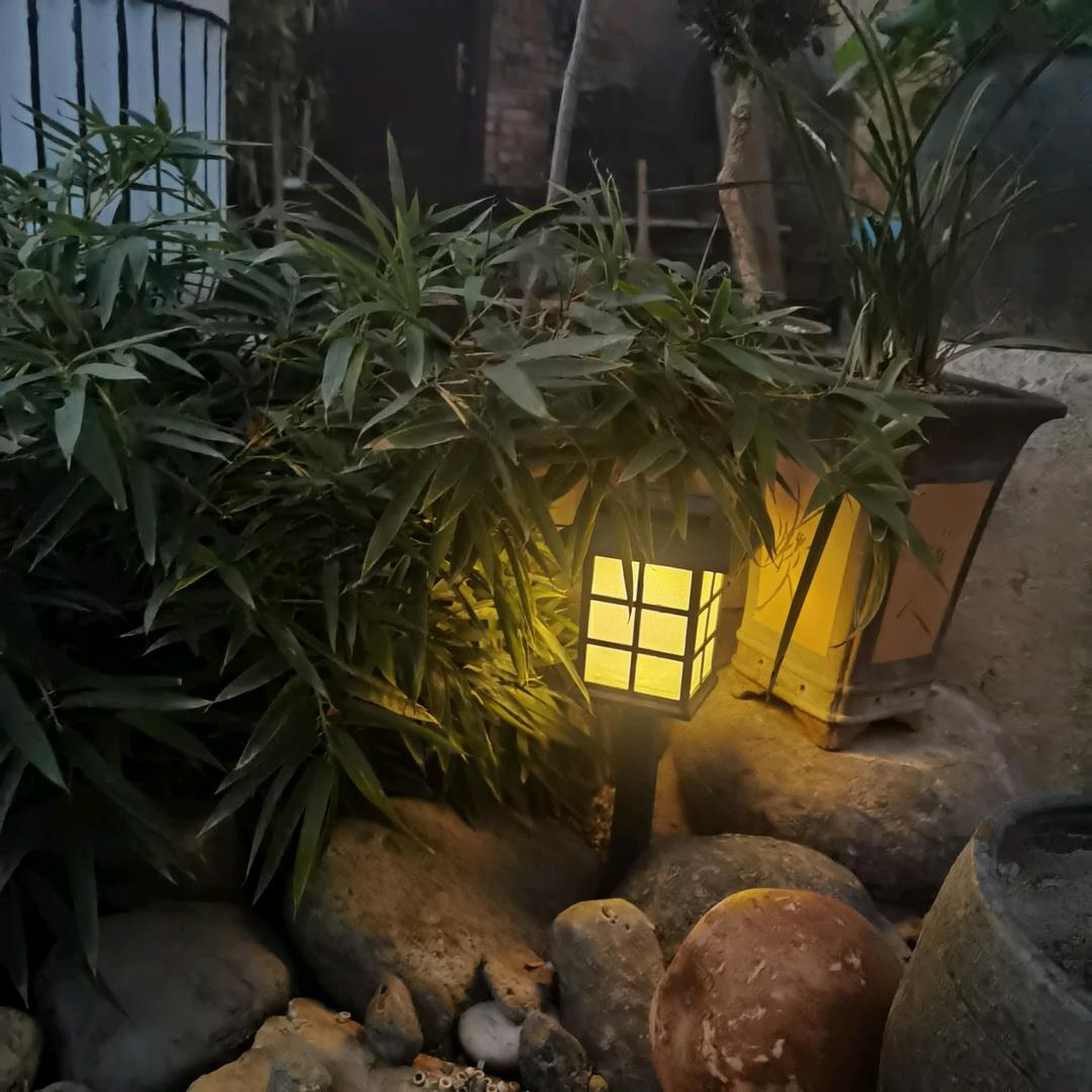 老十
