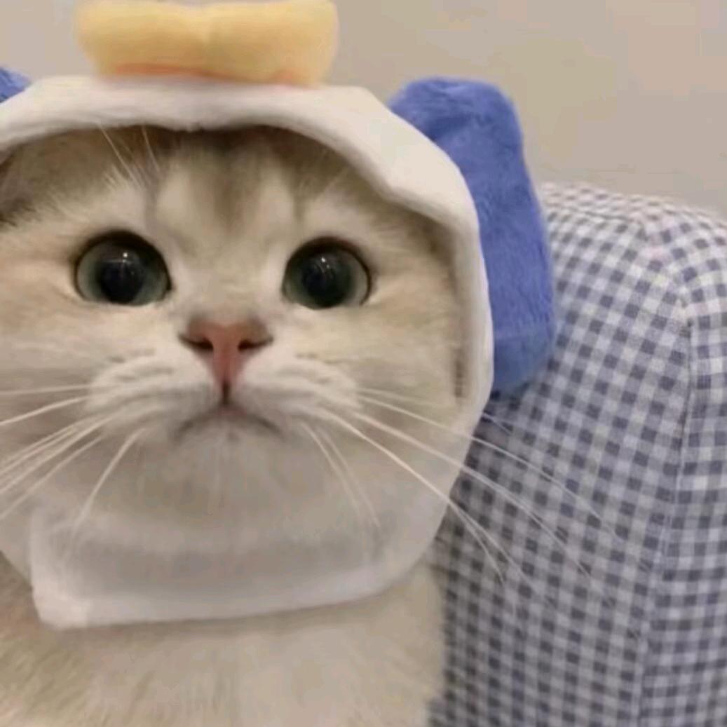 水泥制品建材厂