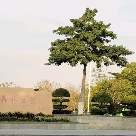 小糖宝