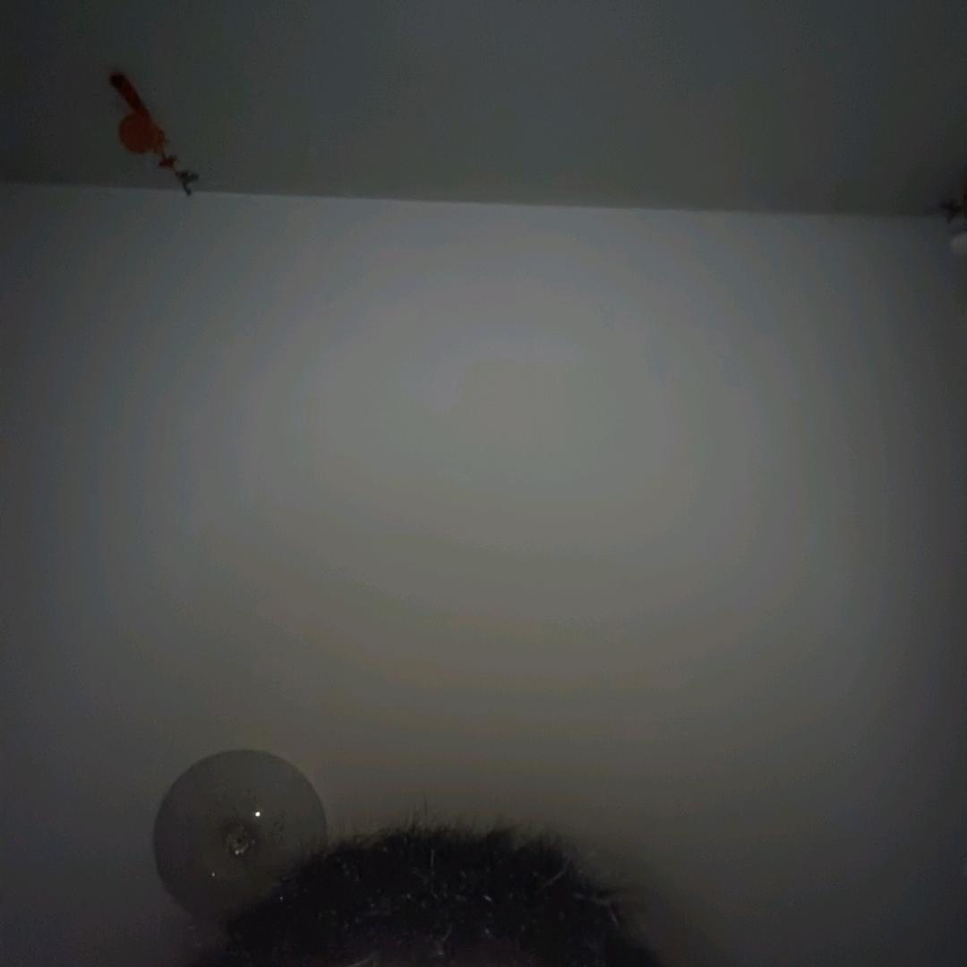 不要问我从哪里来