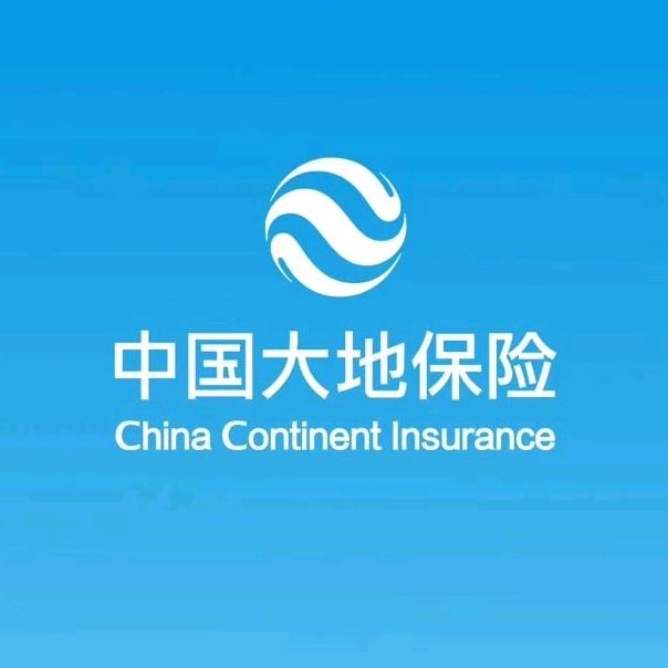 中国大地保险河南分公司